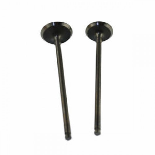 Intake & Exhaust Valves for CG150