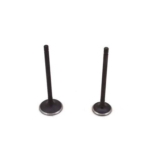 Intake & Exhaust Valves for GY6 150